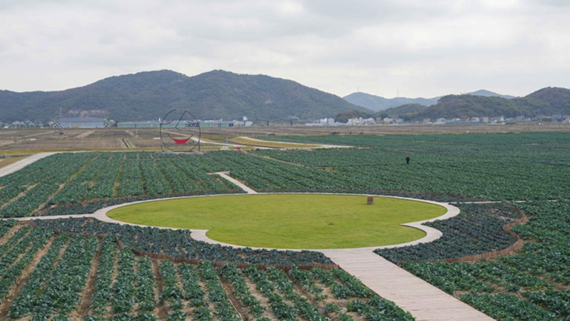 浙農(nóng)科技岱山運(yùn)營項目獲人民日報、新華社、央視等主流媒體關(guān)注